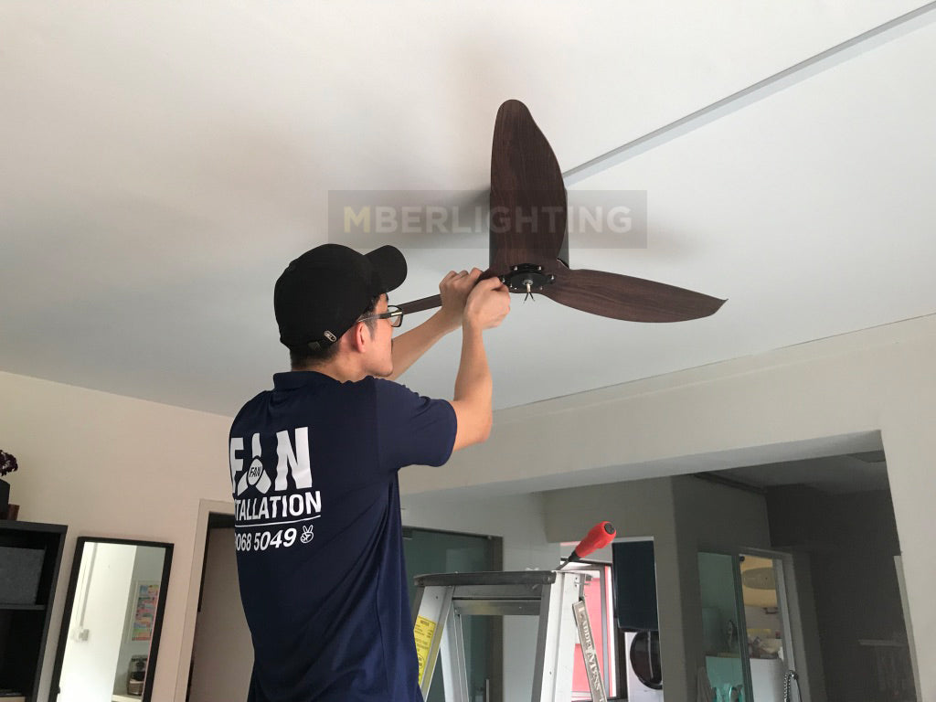 Ceiling Fan Installation — Purchased From Other Supplier