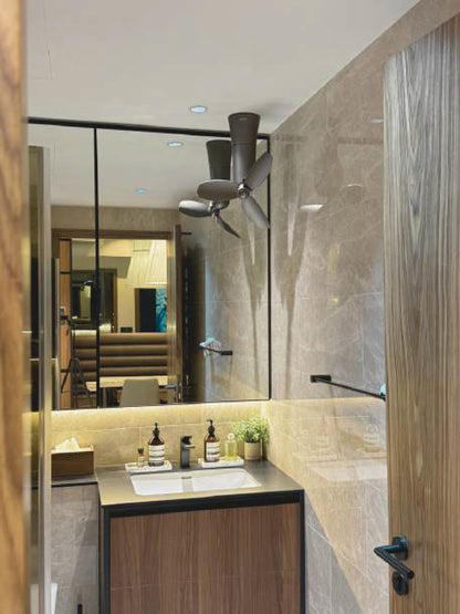 SPHERE Corner Fan CARBON